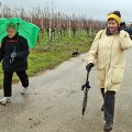 10.02.2016 Mandelblüte in Gimmeldingen